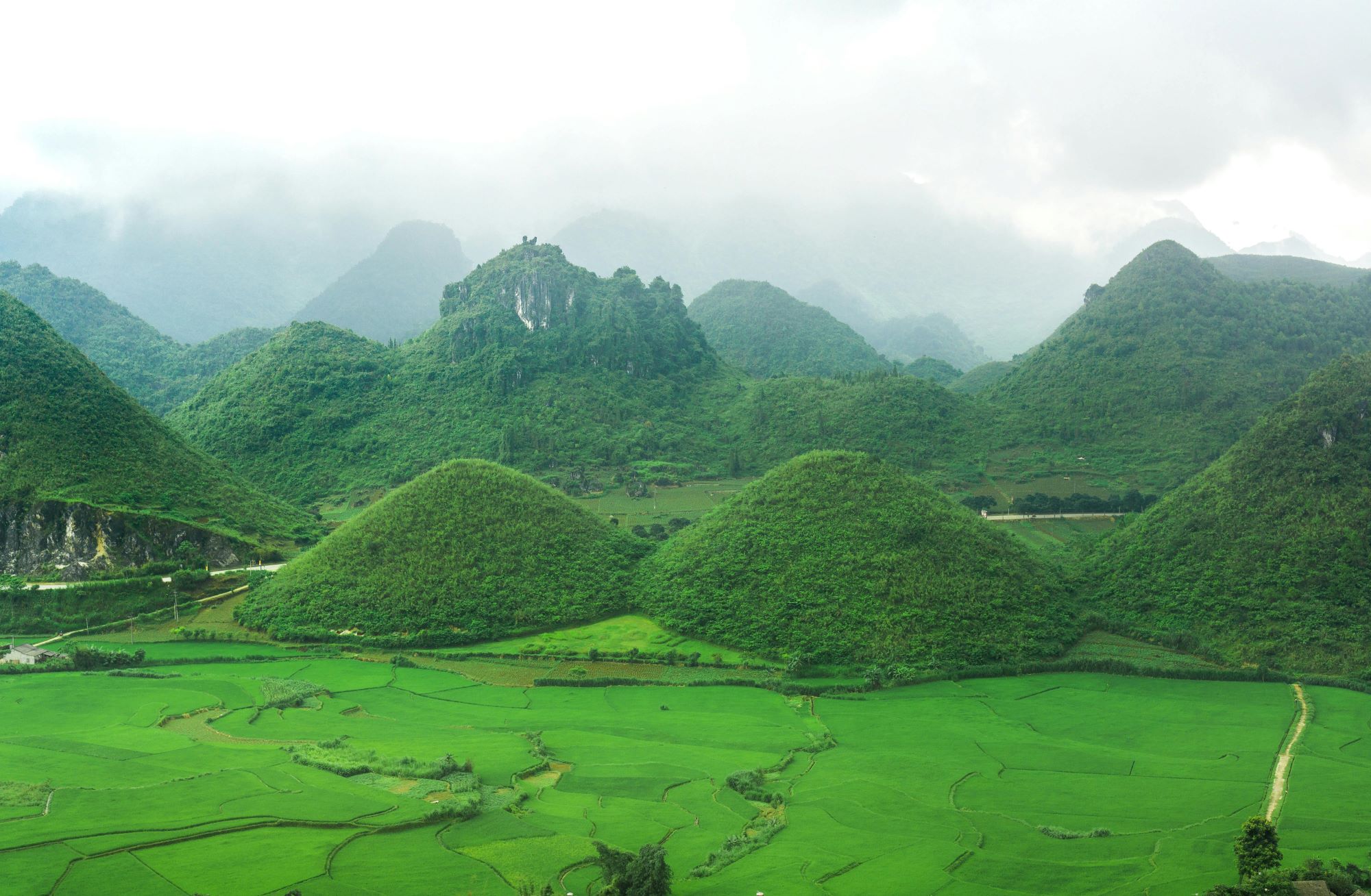 Vietnam Tours