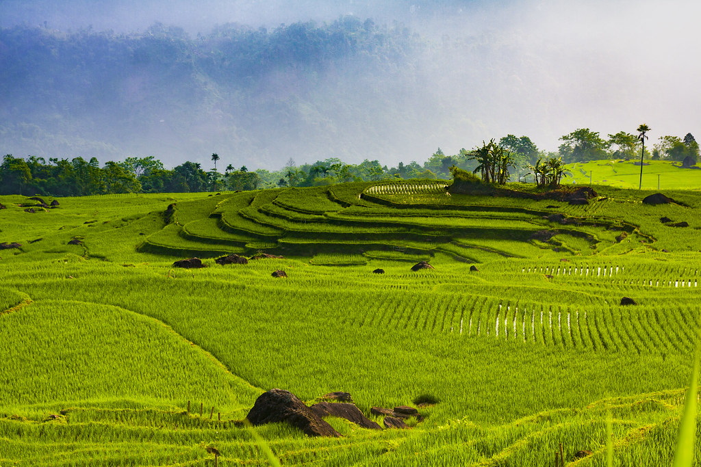 Nature’s Embrace: Discovering Pu Luong’s Tranquil Beauty
