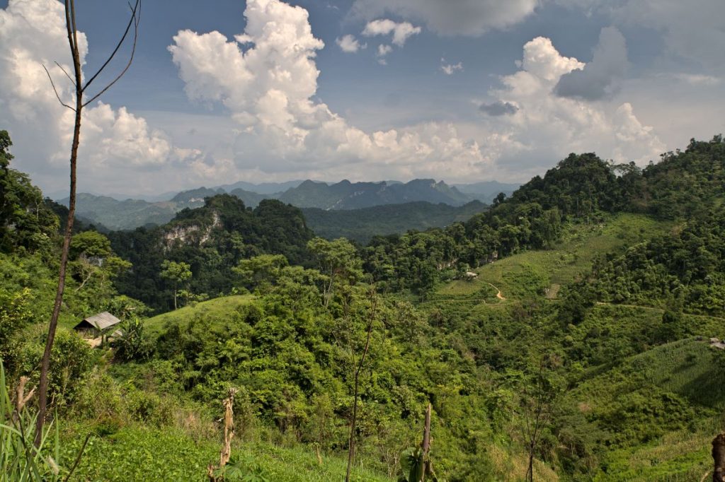 Serene Ba Be Lake Adventure: Exploring Nature’s Tranquil Oasis