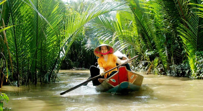 Mekong Delta Adventure: Immersive 1-Day Tour