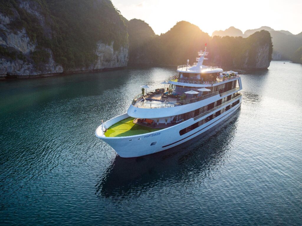 Steller of the sea cruise