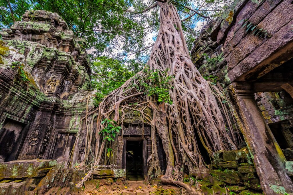 CAMBODIA CLASSIC TOURS 3DAYS/2NIGHT (PHNOM PENH)