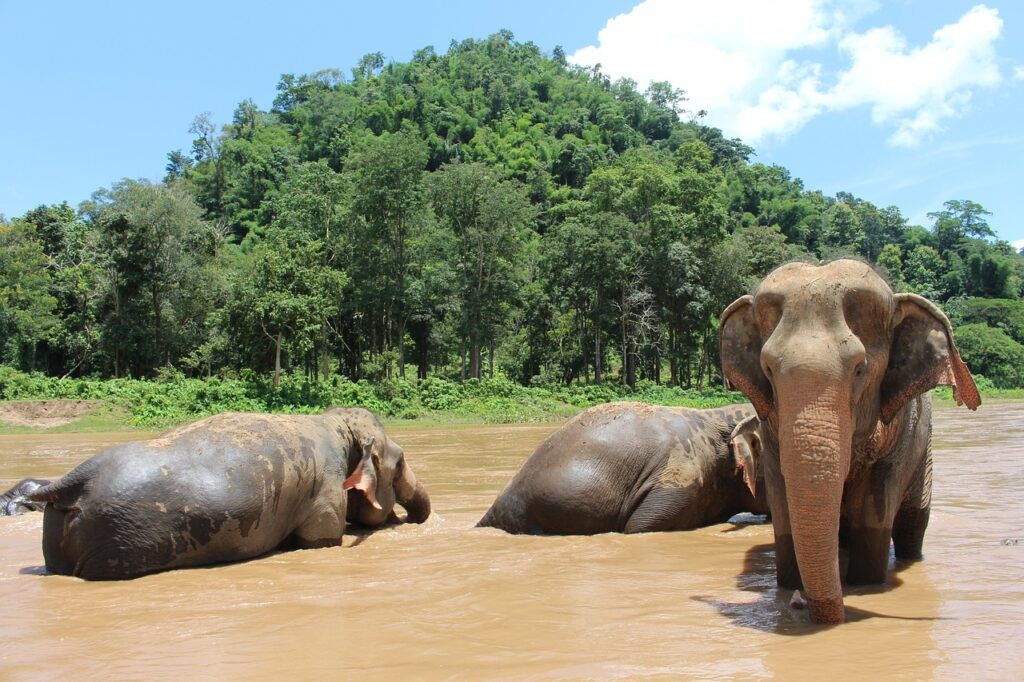 “Historic Journeys and Natural Wonders: Kanchanaburi 2-Day Private Tour from Bangkok”