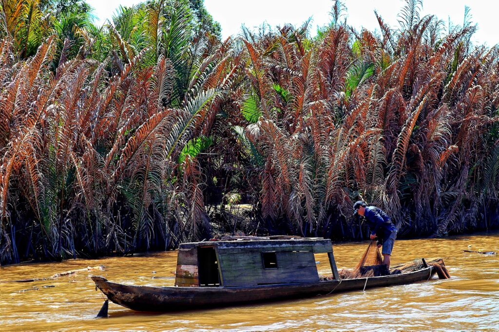 DAY TOUR: VIETNAM: Cu Chi Tunnels & Mekong Delta Day Tour – A Journey Through Vietnam’s History and Natural Beauty