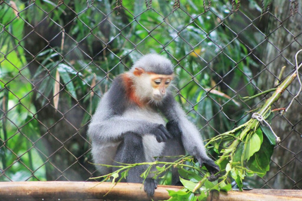 Discover Vietnam’s Natural Wonders: 7 Amazing National Parks