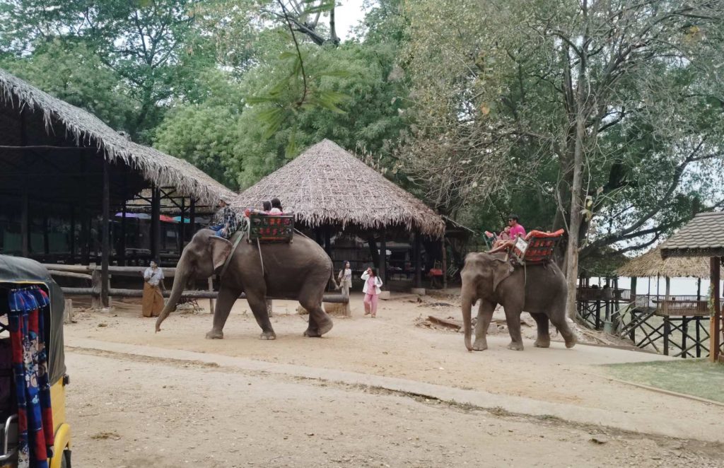 “Bagan Full Day Tour with Palin Elephant Camp: “Explore Temples, Villages & Encounter Majestic Elephants”