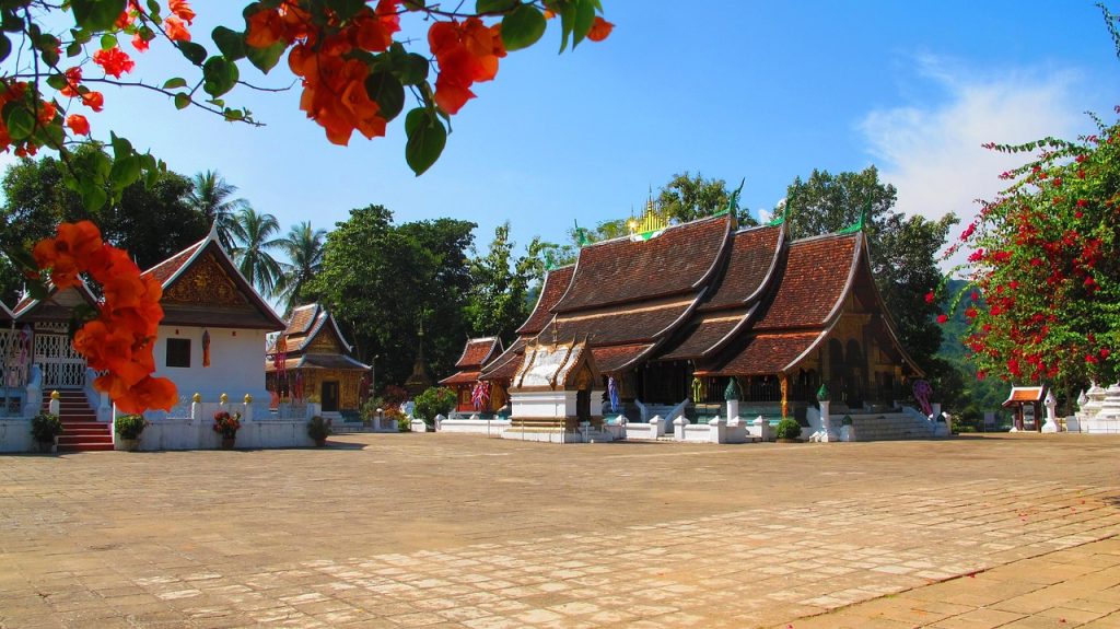 🌊 Exploring the Enigmatic Mekong and Its Natural Marvel